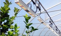 Type d'éclairage conçu par Sollum Technologies