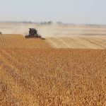 Pour faciliter votre choix de semences de maïs et de soya