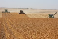 Pour faciliter votre choix de semences de maïs et de soya