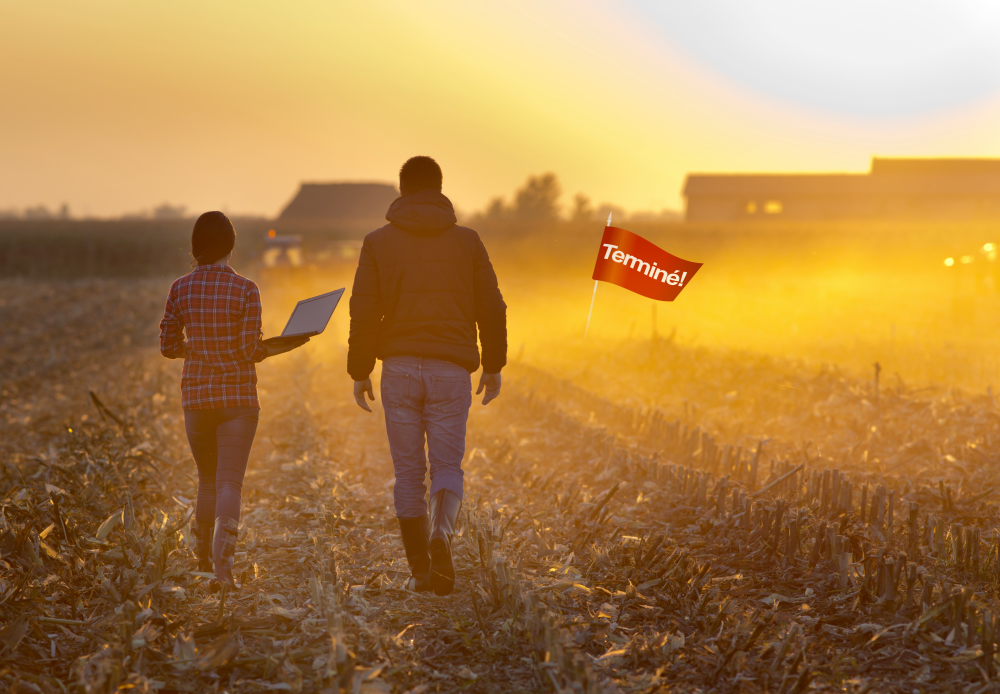 État des cultures 11 novembre: récolte 2022 TERMINÉE!