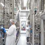 Les cellules sont cultivées dans de grandes cuves.