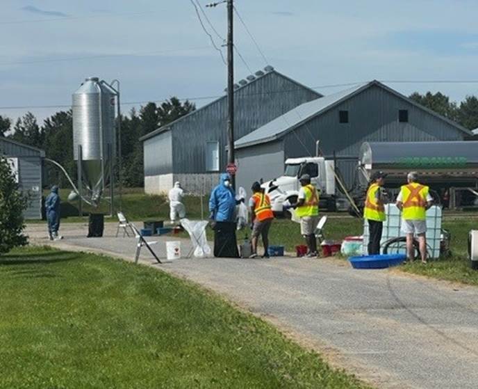 Influenza aviaire Valcartier