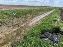 plantation arbustes indigènes bande riveraine