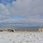 étable froide à l'américaine, ferme M.G. Proulx