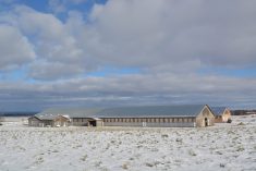 étable froide à l'américaine, ferme M.G. Proulx