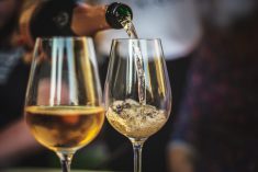 Alcool et agriculture : les plus populaires de la semaine