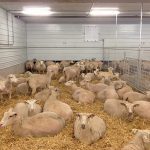 Préval Ag prend racine en Alberta