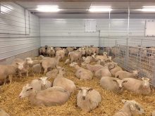 Préval Ag prend racine en Alberta