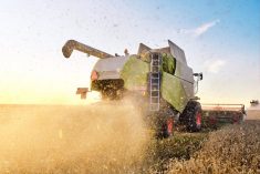 Participez à une étude de l’Université Laval sur la gestion des risques de perte de culture au Québec