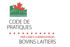 Conseil national pour le soin et la manipulation des bovins laitiers, CNSAE
