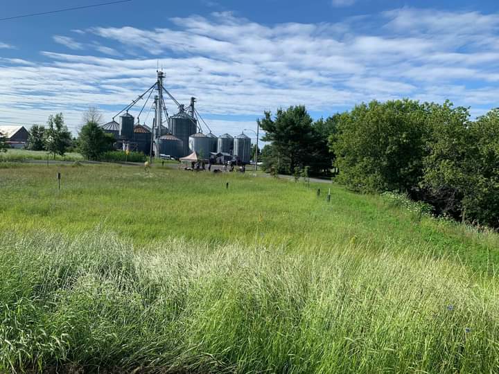 Point de vue du mont Bellevue vers la ferme. Bien hâte d’enfin apercevoir les couleurs de nos 250 arbustes encore un peu timides. Toute une carte postale.