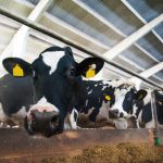 Les investissements en agriculture bondissent depuis 2021!