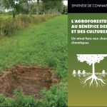 Nouveau feuillet du CRAAQ sur l'agroforesterie