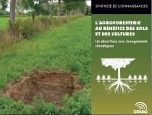 Nouveau feuillet du CRAAQ sur l'agroforesterie