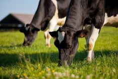 Le Rapport sur la durabilité 2022 récemment publié par DeLaval montre son engagement envers la durabilité dans trois domaines clés : l'environnement, la sécurité alimentaire et le bien-être des animaux, et les aspects sociaux et économiques.
