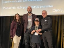 Louis-Philippe Roy, Les Cochons du Roy, Consultants Denis Champagne, Groupe Évolu-Porc