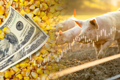 Les avez-vous manqués?