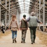 Relève agricole : aide bonifiée de 100 M$