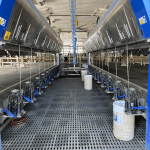 Salle de traite en parallèle à la Ferme Arcal.