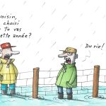 Que semer cette année avec ces conditions?