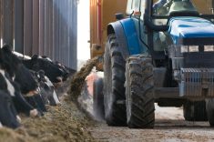 La ration partielle mélangée (RPM) est la même pour toutes les vaches du groupe.