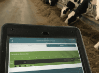 Le conseiller Purina utilise le Dairy Enteligen installé sur une tablette pour conseiller le producteur agricole.