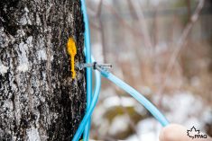 Les PPAQ poursuivent leur croissance et émettent 7 millions d&rsquo;entailles