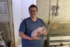 Josée Castonguay, productrice de porcs