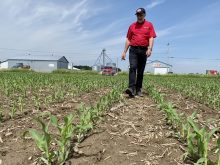 Défi maïs gestion de l'azote Maurice Cadotte Semences PRIDE
