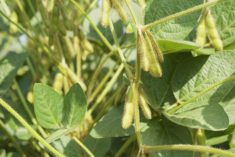 Photo: André Piette