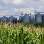 Le monde agricole déçu des engagements du gouvernement Legault