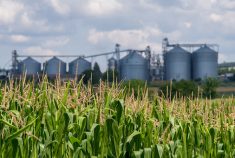 Le monde agricole déçu des engagements du gouvernement Legault