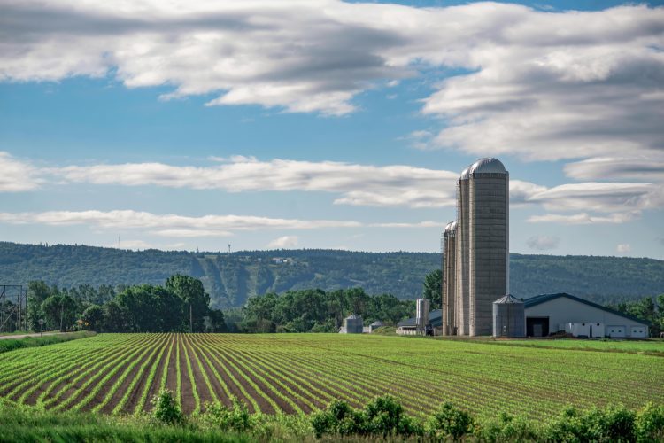 Le ratio prix-location des terres enregistre une légère augmentation au Québec