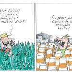 Ça pousse partout