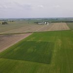 Un projet vise à protéger les oiseaux de prairies