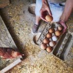 La solution : sortir avec un agriculteur!