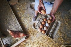 La solution : sortir avec un agriculteur!