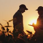 Plus d’appels auprès des travailleuses de rang