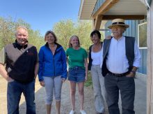 Lone Pine Jerseys, Alberta, Heani