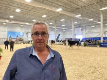 Marc Comtois, Ferme Comestar, Suprême Laitier