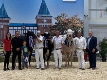 Suprême Laitier 2023