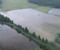 Des champs inondés par les excès de pluie.