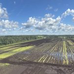 Météo extrême : entreprises horticoles en péril
