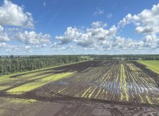 Météo extrême : entreprises horticoles en péril