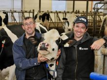 Voici les producteurs laitiers Daniel et François Pinard de la Ferme Acaduc de Sainte-Perpétue.