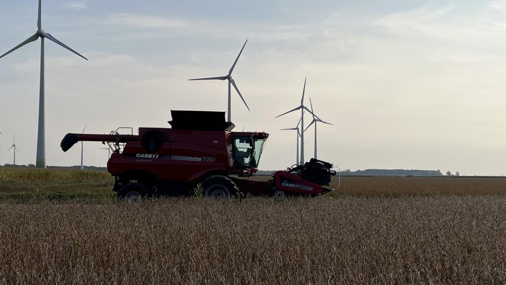 Photo: Dominique Dubuc, Ferme Dom Inc., Montérégie Est