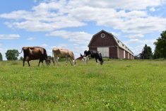 La grange emblématique du Centre d'initiatives en agriculture de la région de Coaticook