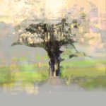Concours de Land art urbain de la Fondation Jordi Bonet