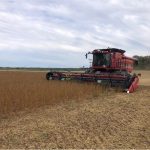 C’est un départ pour le soya
