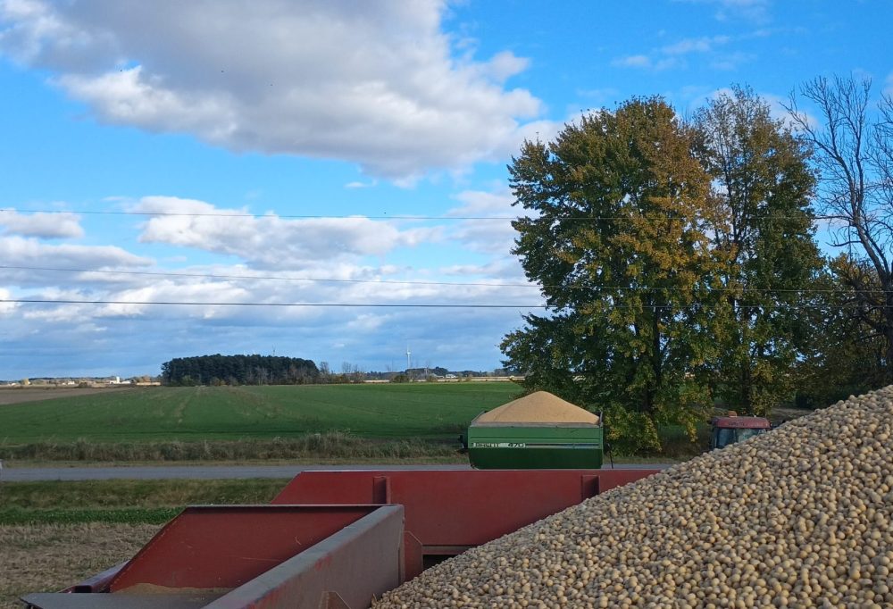 Le chantier de récolte est deux fois plus efficace en récolte standard que pour le soya IP.